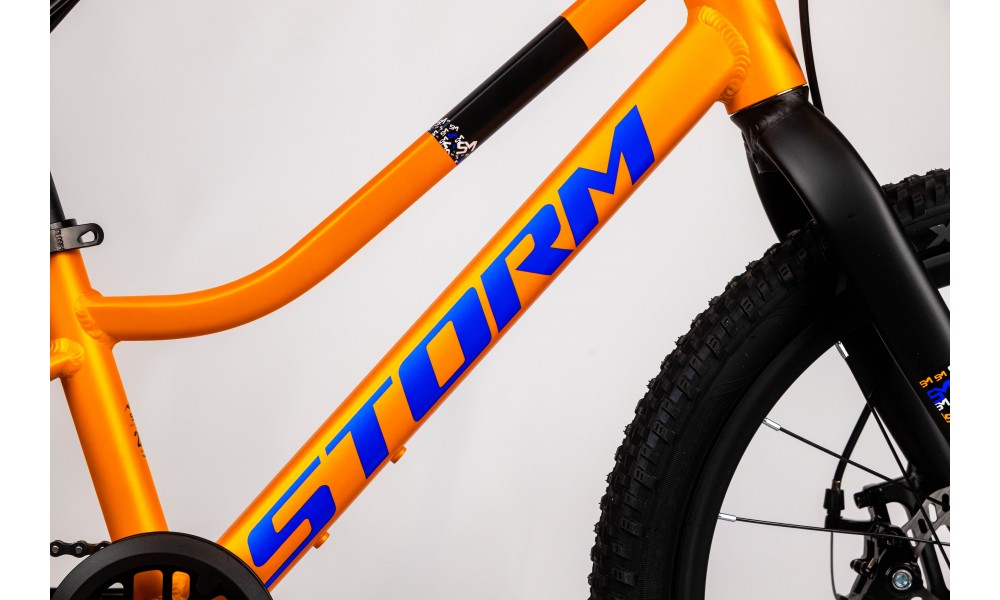 Rower dziecięcy Storm Rocky 20 2MD - pomarańczowy