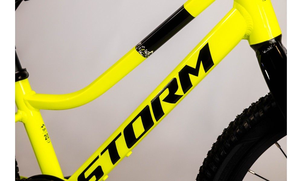Rower dziecięcy Storm Rocky 20 2MD - żółty