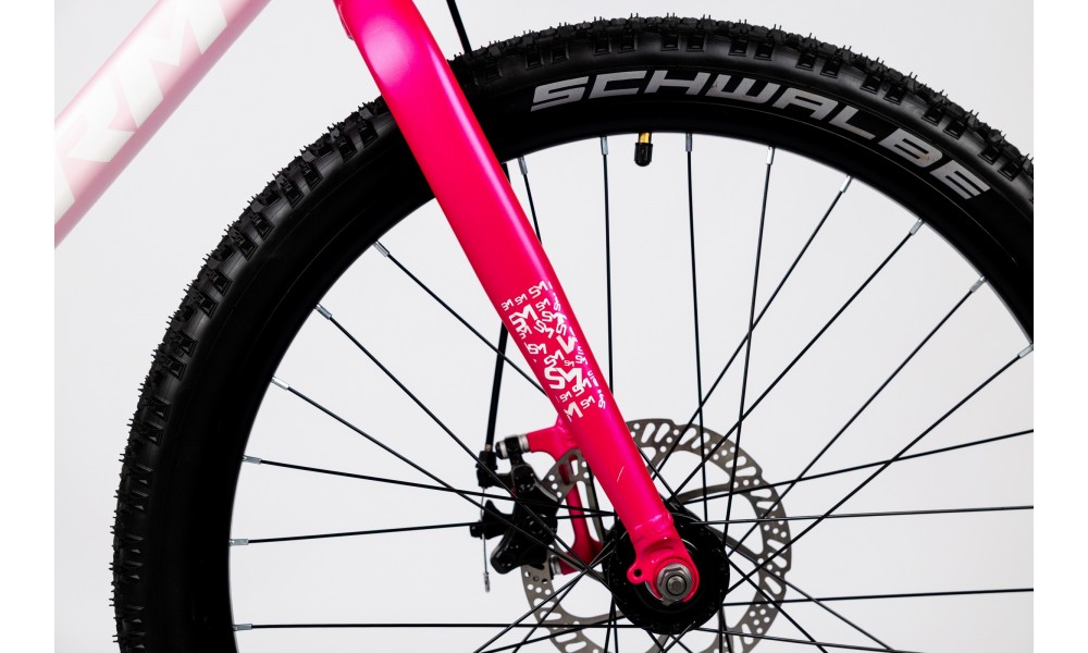 Rower młodzieżowy Storm Bella 24 1.0 2MD - różowy