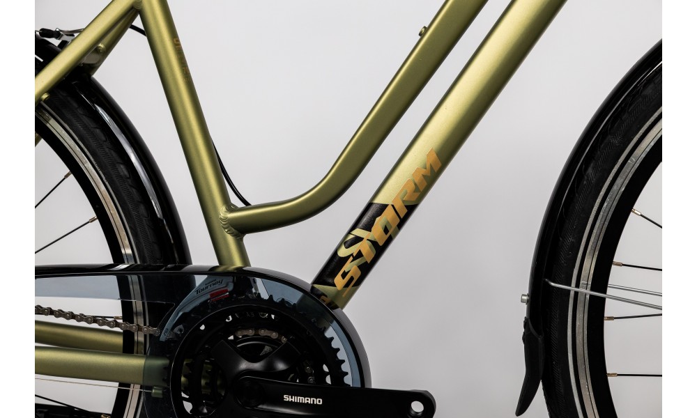 Rower trekkingowy Storm Marathon 6.0 Lady - zielony