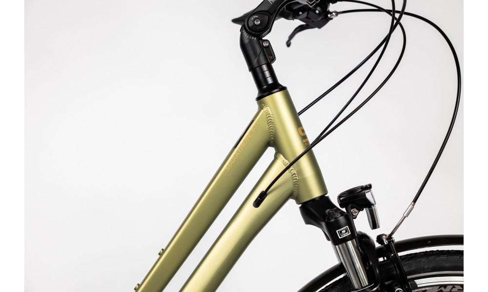 Rower trekkingowy Storm Marathon 6.0 Lady - zielony