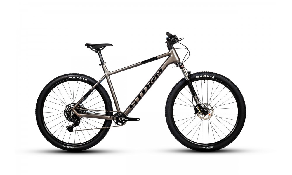 Rower górski Storm Raptor Man 1.0 29 2HD - srebrno-czarny