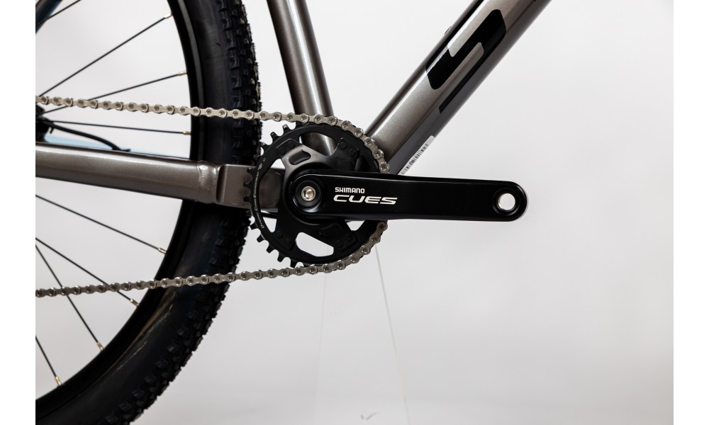 Rower górski Storm Raptor Man 1.0 29 2HD - srebrno-czarny