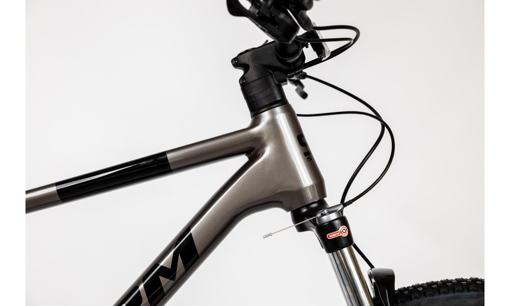 Rower górski Storm Raptor Man 1.0 29 2HD - srebrno-czarny