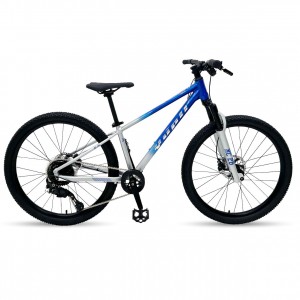 Rower górski Yupii 26 XC - niebieski 1
