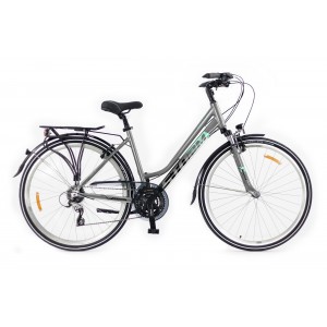 Rower trekkingowy Storm Marathon 5.0 Lady LTD - srebrno-morski 1