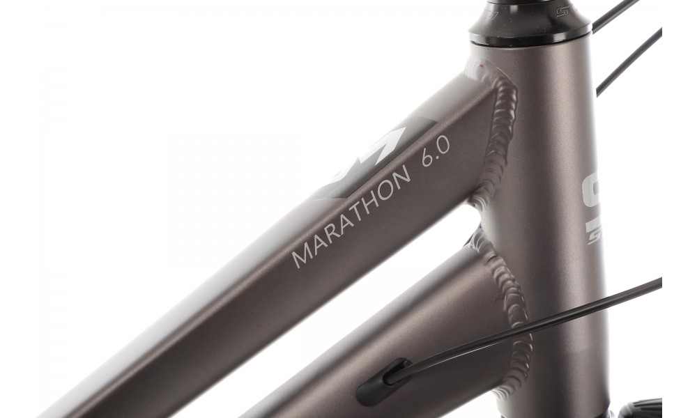 Rower trekkingowy Storm Marathon 6.0 Lady - złoto-grafitowy