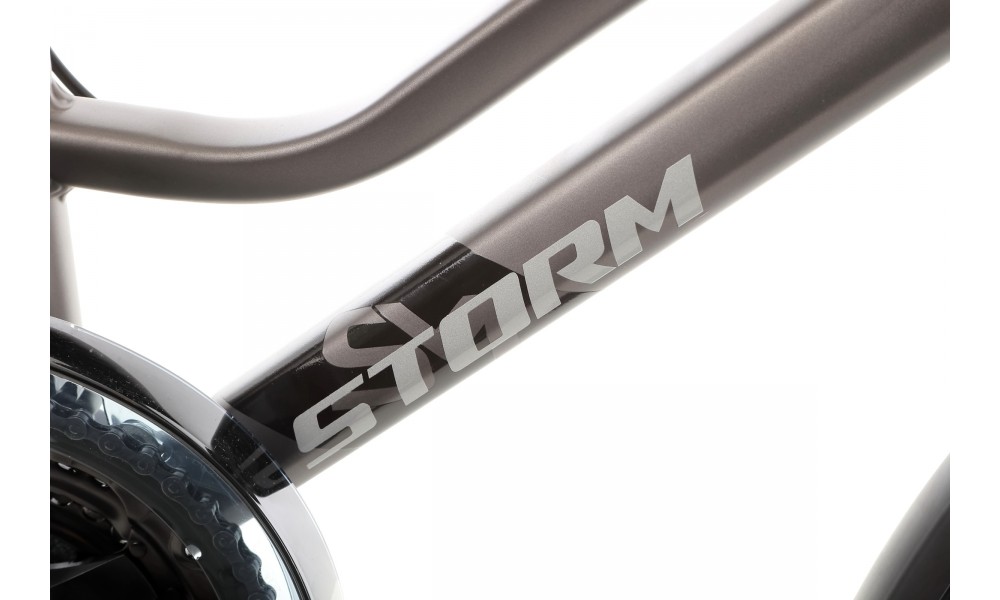 Rower trekkingowy Storm Marathon 6.0 Lady - złoto-grafitowy