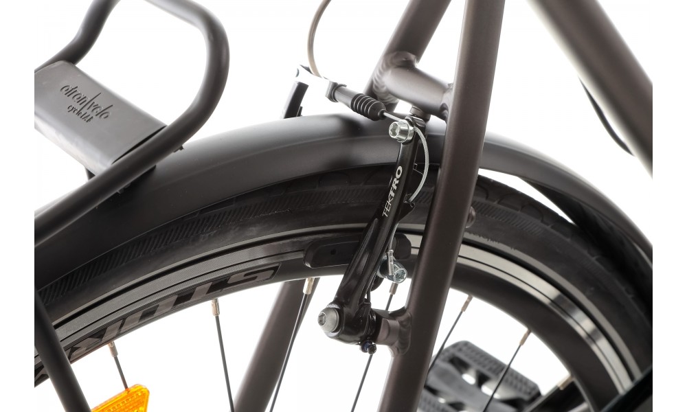 Rower trekkingowy Storm Marathon 6.0 Lady - złoto-grafitowy