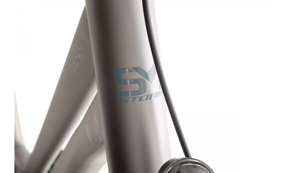 Rower trekkingowy Storm Marathon 7.0 Lady - szaro-srebrny