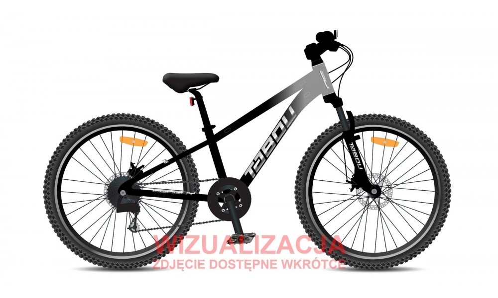 Rower młodzieżowy Tabou Badboy 24 026 - szaro-czarny