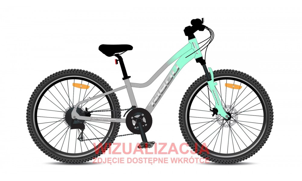 Rower młodzieżowy Tabou Topshe 24 PRO 026 - miętowo-szary