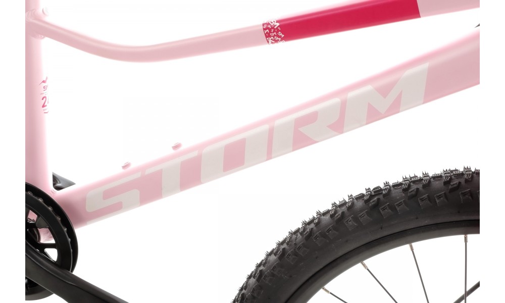 Rower młodzieżowy Storm Bella 24 2.0 2HD - różowy