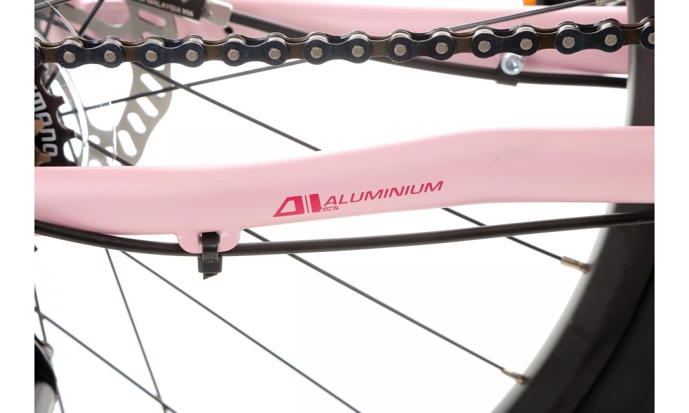 Rower młodzieżowy Storm Bella 24 2.0 2HD - różowy