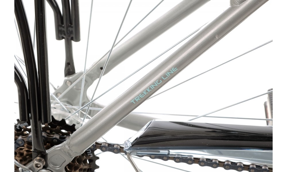 Rower trekkingowy Storm Marathon 2.0 Lady - srebrny-turkusowy