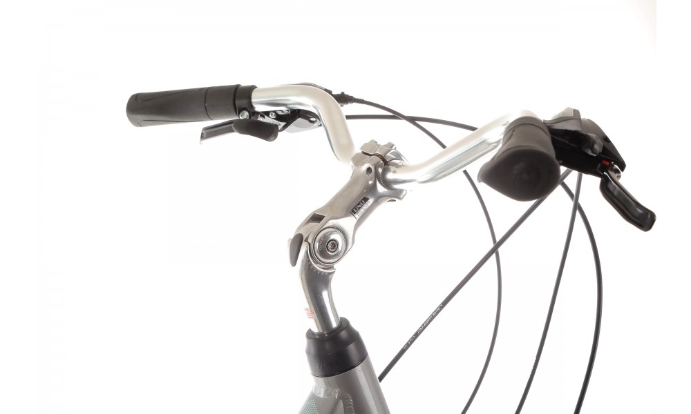 Rower trekkingowy Storm Marathon 2.0 Lady - srebrny-turkusowy