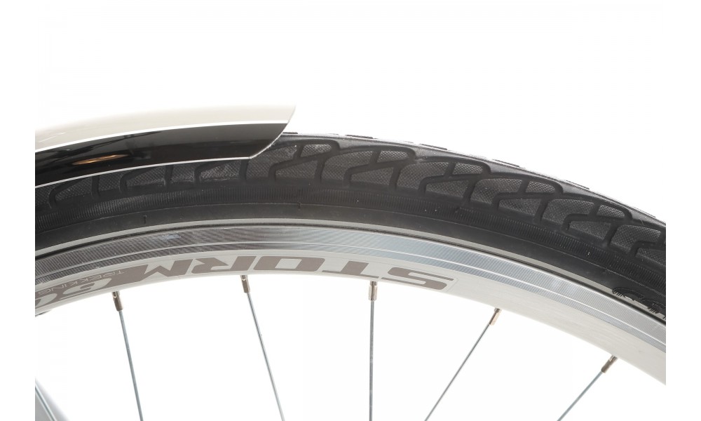 Rower trekkingowy Storm Marathon 2.0 Lady - srebrny-turkusowy