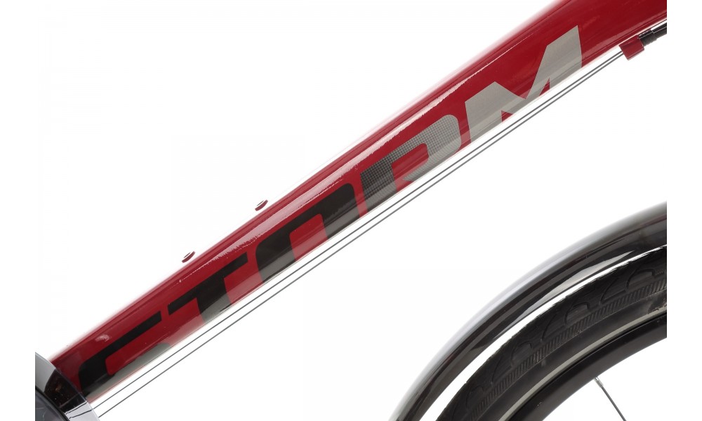 Rower trekkingowy Storm Marathon 9.0 Man LTD VBR - bordowy