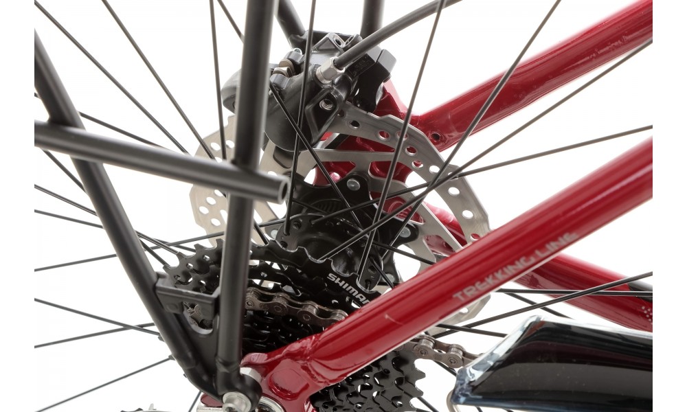 Rower trekkingowy Storm Marathon 9.0 Man LTD VBR - bordowy