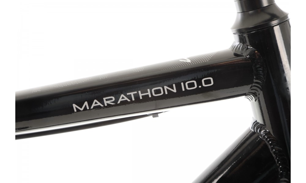 Rower trekkingowy Storm Marathon 10.0 Man LTD - czarny