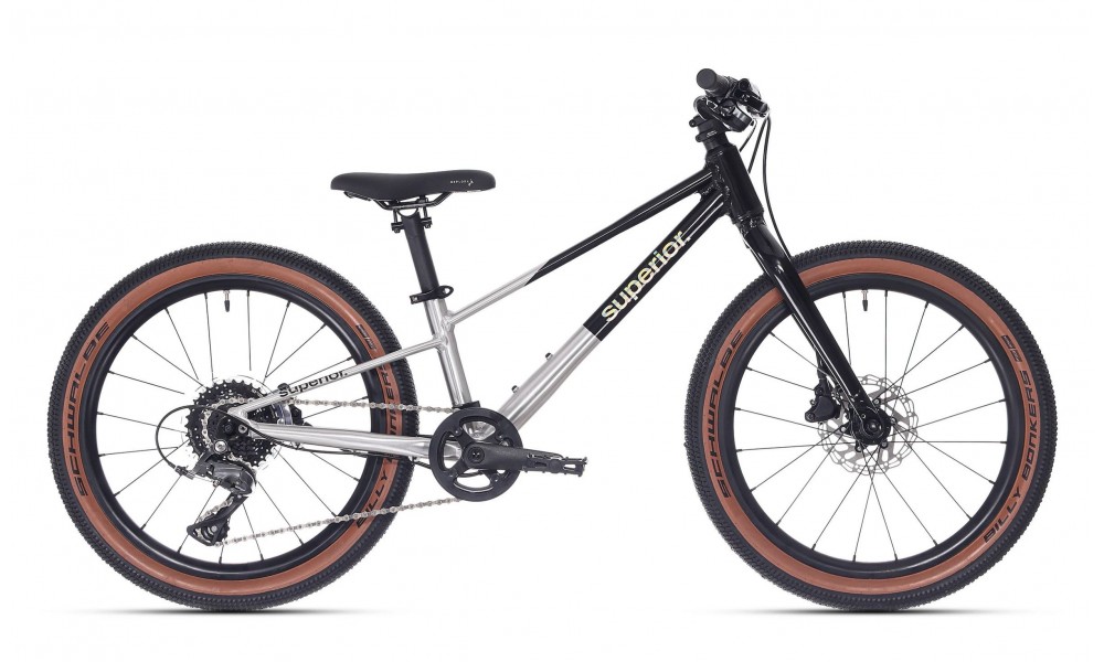 Rower dziecięcy Superior TEAM 20 026 - szaro-czarny
