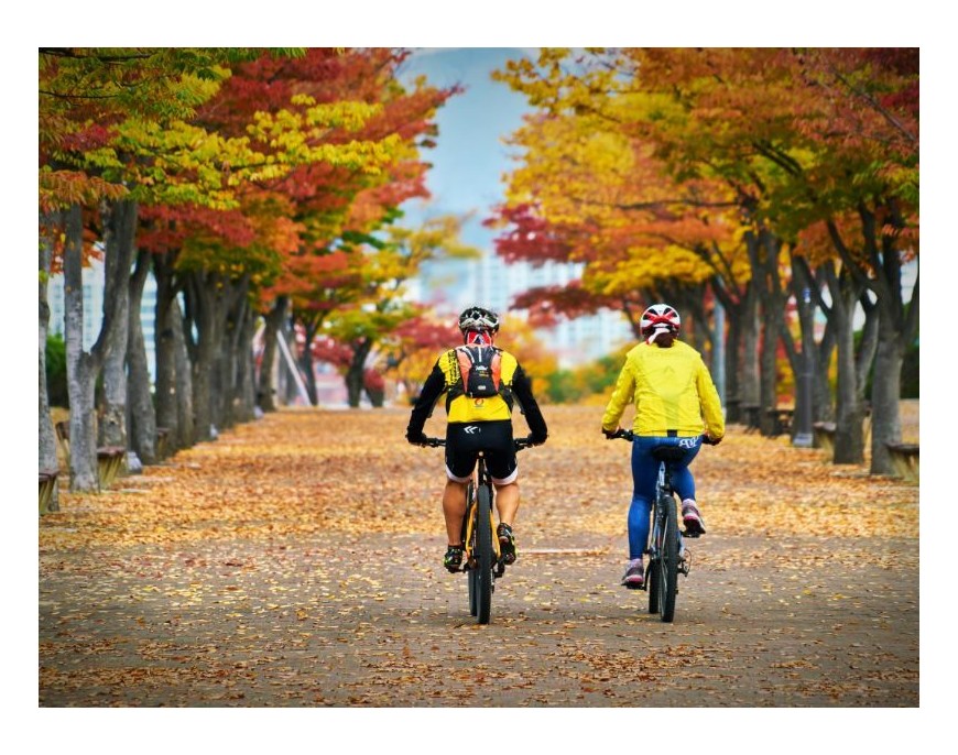 Top 5 artykułów rowerowych przydatnych jesienią